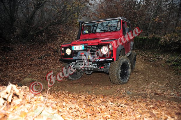 DSC_3729.jpg